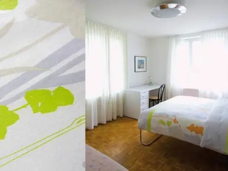 Villa Cresta Bianca, Maison 4 personnes à Ronco sopra Ascona - Photo 6