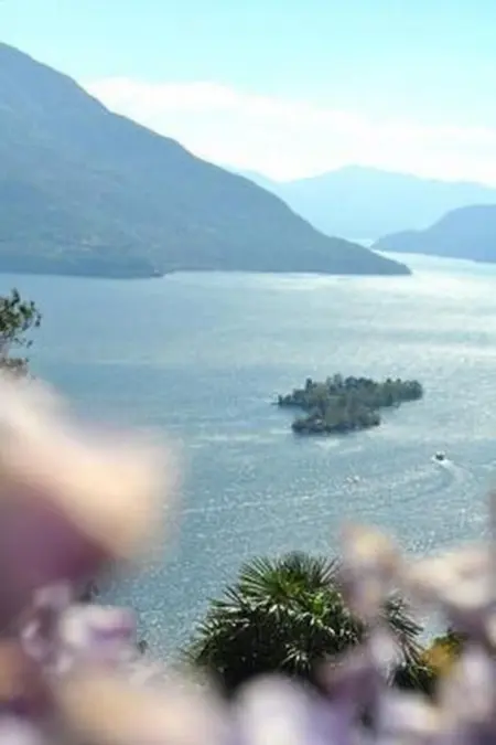 Villa Cresta Bianca, Maison 4 personnes à Ronco sopra Ascona - Photo 7