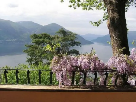 Villa Cresta Bianca, Maison 4 personnes à Ronco sopra Ascona - Photo 8
