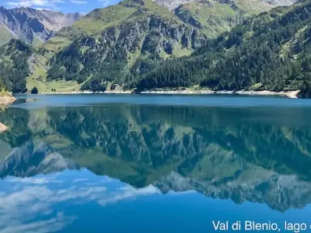 Wohnung mit Bergblick, Appartement 3 personnes à Malvaglia - Photo 3