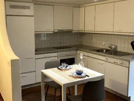Wohnung mit Bergblick, Appartement 3 personnes à Malvaglia - Photo 6