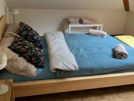 Wohnung mit Bergblick, Appartement 3 personnes à Malvaglia - Photo 10