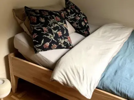 Wohnung mit Bergblick, Appartement 3 personnes à Malvaglia - Photo 11