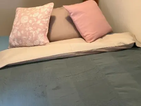 Wohnung mit Bergblick, Appartement 3 personnes à Malvaglia - Photo 14
