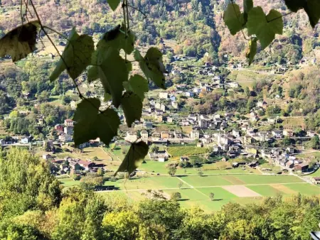 Ursprüngliches, stilvolles Rustico, Maison 6 personnes à Malvaglia - Photo 4