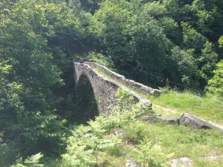 Ursprüngliches, stilvolles Rustico, Maison 6 personnes à Malvaglia - Photo 17