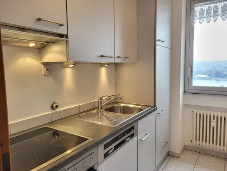 Apartment Eldorado View, Appartement 2 personnes à Lugano - Photo 9