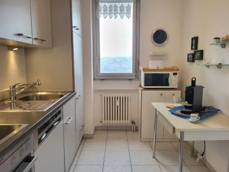 Apartment Eldorado View, Appartement 2 personnes à Lugano - Photo 11