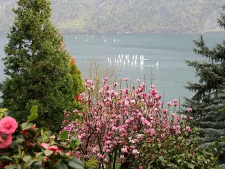 Garten-Wohnung, Appartement 3 personnes à Lugano - Photo 5