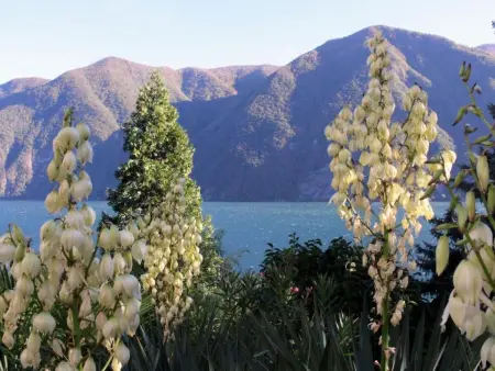 Garten-Wohnung, Appartement 3 personnes à Lugano - Photo 15