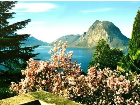 Viola, Appartement 6 personnes à Lugano - Photo 1