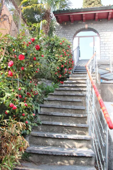 Viola, Appartement 6 personnes à Lugano - Photo 20