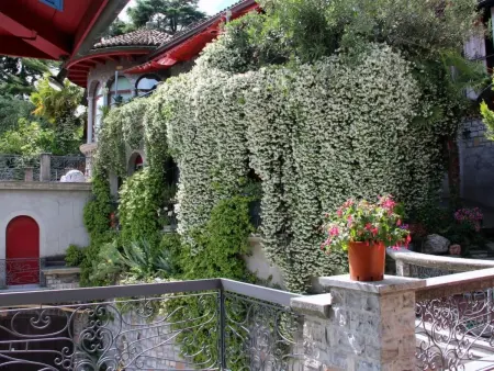 Viola, Appartement 6 personnes à Lugano - Photo 24