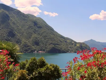 Barony Villa, Maison 9 personnes à Lugano - Photo 5