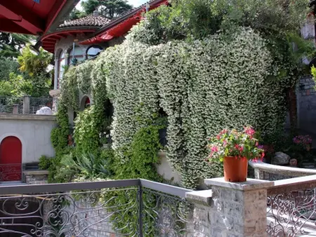 Agave, Appartement 4 personnes à Lugano - Photo 3
