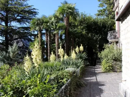 Lavendel, Appartement 6 personnes à Lugano - Photo 2