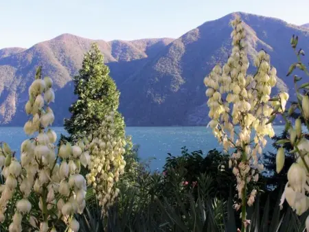 Lavendel, Appartement 6 personnes à Lugano - Photo 18