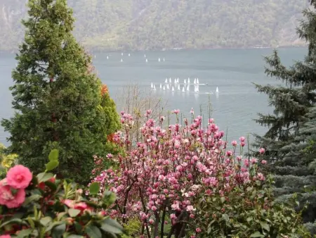 Lavendel, Appartement 6 personnes à Lugano - Photo 19