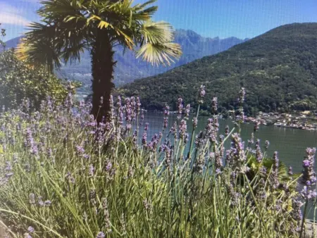 La Quercia, Maison 6 personnes à Vico Morcote - Photo 30