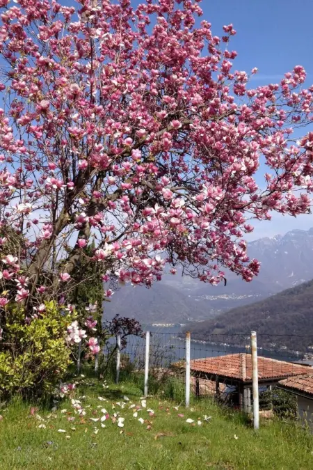 Casa Ranica mit Pool, Maison 8 personnes à Vico Morcote - Photo 6