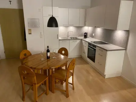 Gartenwohnung im Tessin mit Swimmingpool, Appartement 4 personnes à Caslano - Photo 2