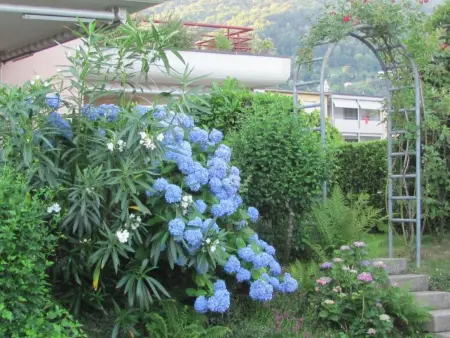 2 Zimmer Gartenwohnung mit Pool, Appartement 4 personnes à Caslano - Photo 11