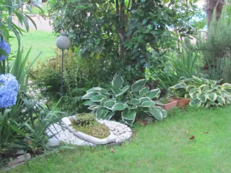 2 Zimmer Gartenwohnung mit Pool, Appartement 4 personnes à Caslano - Photo 12