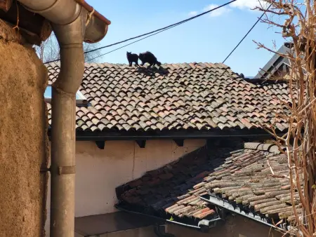 Casa Nicole, Maison 4 personnes à Aranno - Photo 35