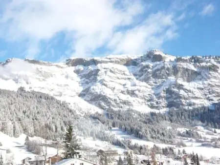 Luxuswohnung mit direktem Zugang zur Skipiste, Appartement 6 personnes à Flims - Photo 23