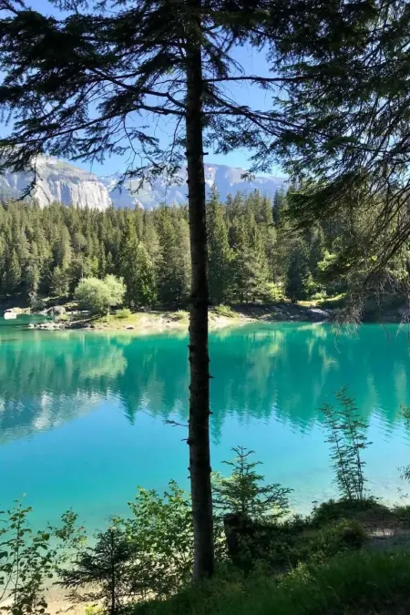 Flims Stenna SELVA direkt bei Bergbahnen Skipiste - Photo 52