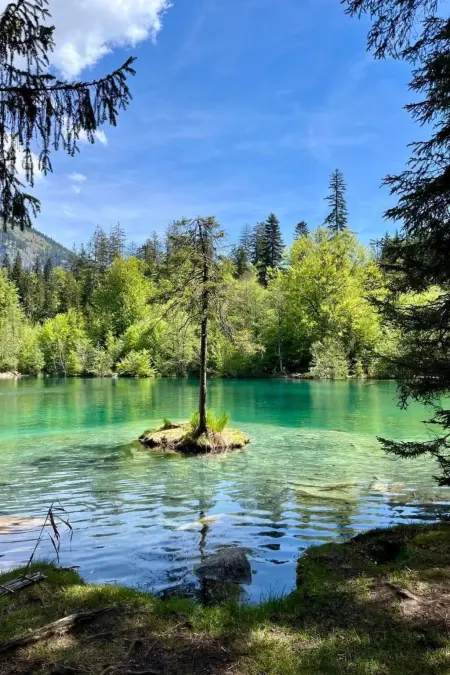 Flims Stenna SELVA direkt bei Bergbahnen Skipiste - Photo 54