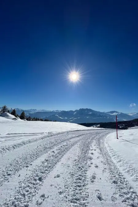 Flims Stenna SELVA direkt bei Bergbahnen Skipiste - Photo 58