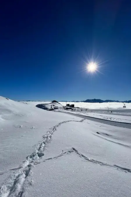 Flims Stenna SELVA direkt bei Bergbahnen Skipiste - Photo 59