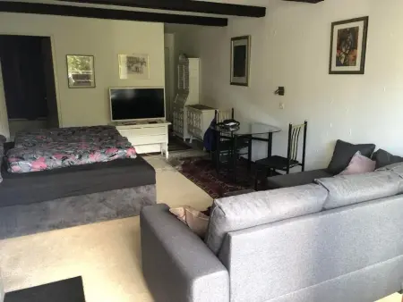 mit Sauna, Appartement 4 personnes à Laax - Photo 26