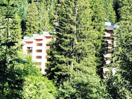 Rancho Laax, Appartement 6 personnes à Laax - Photo 12