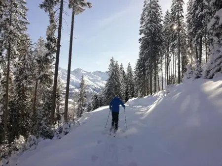 Maspoli Holidays - Sich wie zu Hause fühlen, Appartement 6 personnes à Lenzerheide - Photo 33