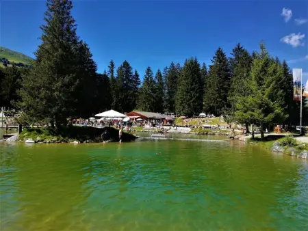 Maspoli Holidays - Sich wie zu Hause fühlen, Appartement 6 personnes à Lenzerheide - Photo 34