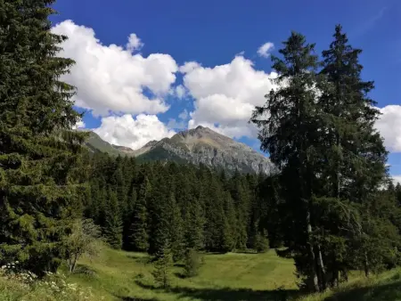 Maspoli Holidays - Sich wie zu Hause fühlen, Appartement 6 personnes à Lenzerheide - Photo 38