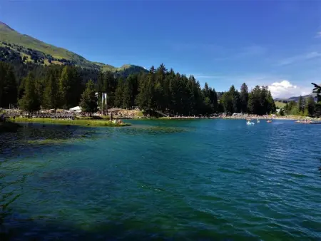 Maspoli Holidays - Sich wie zu Hause fühlen, Appartement 6 personnes à Lenzerheide - Photo 40