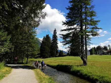 Maspoli Holidays - Sich wie zu Hause fühlen, Appartement 6 personnes à Lenzerheide - Photo 41