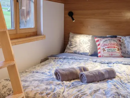 Blue Alpine Lodge, Appartement 6 personnes à Rueras Dieni - Photo 9
