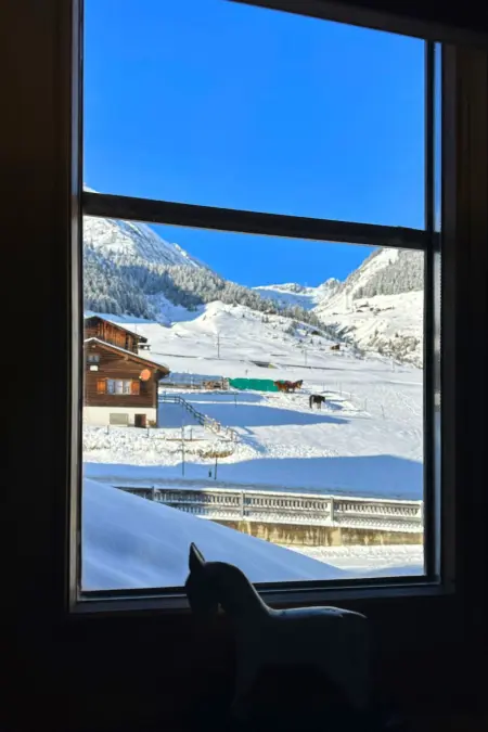 Blue Alpine Lodge, Appartement 6 personnes à Rueras Dieni - Photo 22