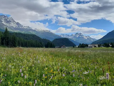 Holiday Park A06, Appartement 4 personnes à St. Moritz - Photo 16