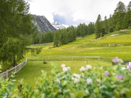 Engadin Chalet, Maison 6 personnes à Bever - Photo 39