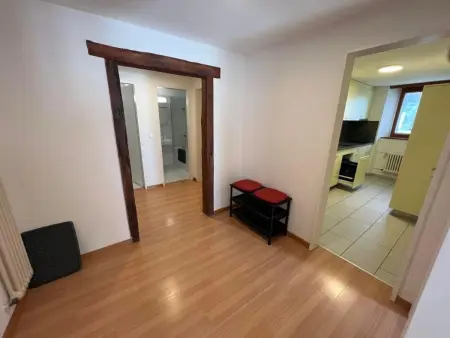 Chesa Fischer / Wohnung Palü / ÖV-Inklusive, Appartement 4 personnes à Samedan - Photo 3