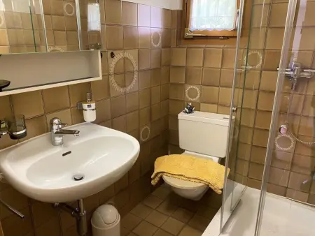 Chesa Florineth, Appartement 4 personnes à Samedan - Photo 21