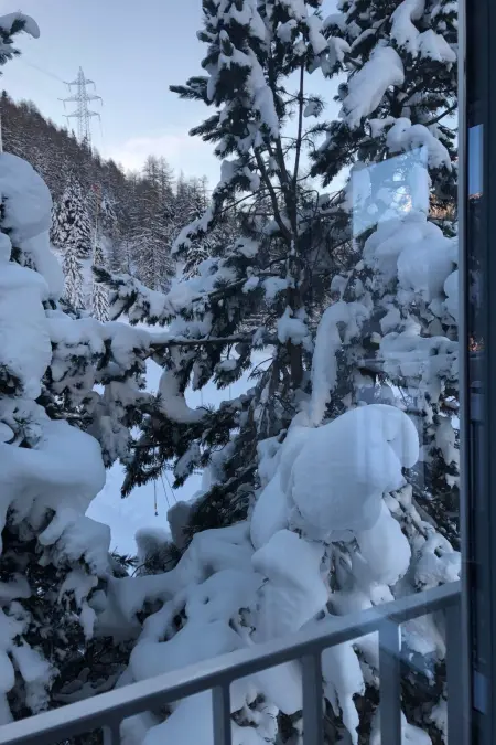 Chesa Melchior, Appartement 2 personnes à Pontresina - Photo 6