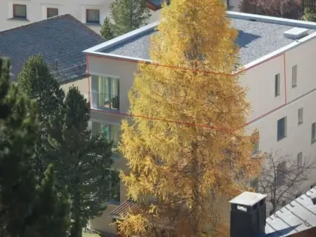 Chesa Melchior, Appartement 2 personnes à Pontresina - Photo 15
