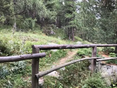 Chesa Trais Fluors, Appartement 4 personnes à Pontresina - Photo 21