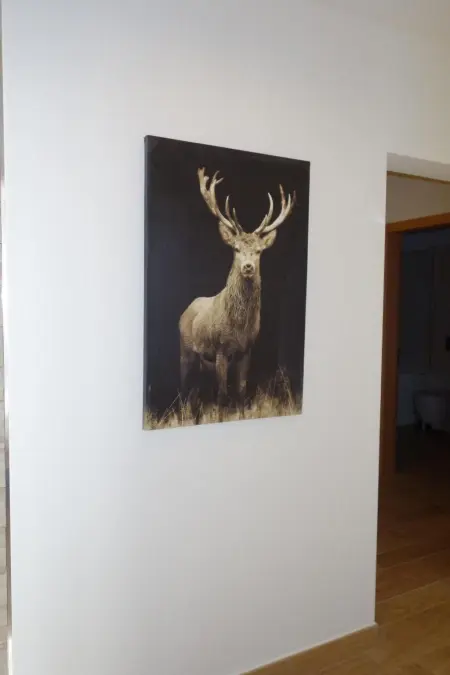 Chesa Muragls, Appartement 6 personnes à Pontresina - Photo 10